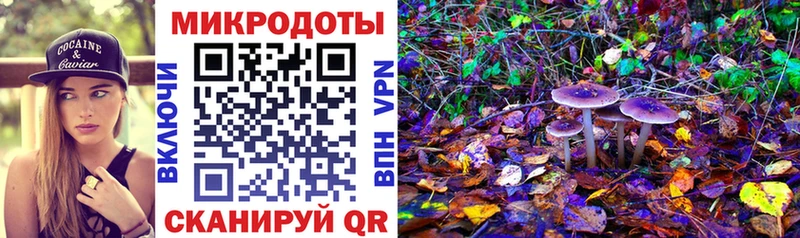 даркнет официальный сайт  Лагань  Галлюциногенные грибы прущие грибы 
