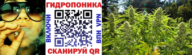 Бошки марихуана AK-47 Лагань